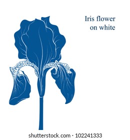 Iris flower silhouette isolated on white, vector illustration