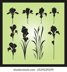 Iris flower silhouette set Clipart on a hex color background