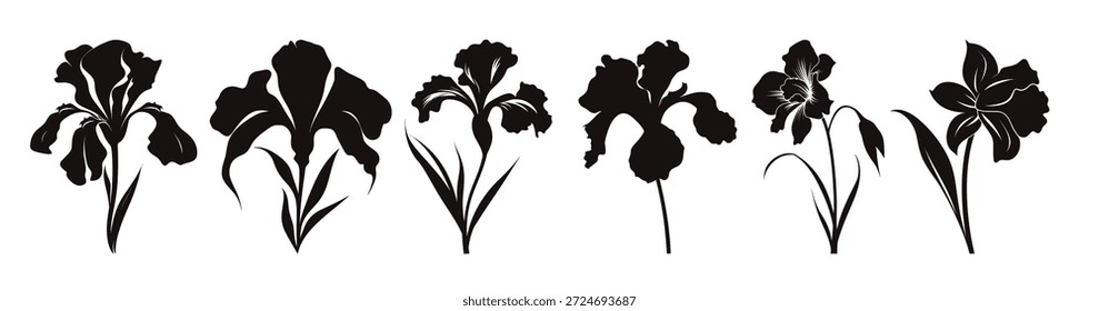 flor íris silhueta vetor conjunto flores íris clipart bundle