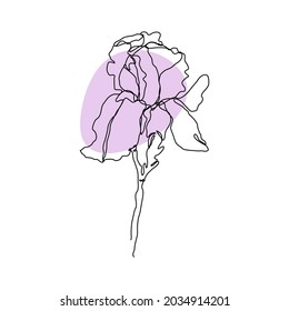Iris flower in simple style with lilac spot on white background Continuous art in an elegant style for prints, tattoos, posters, textiles, postcards, etc. Vector illustration of a beautiful flower.