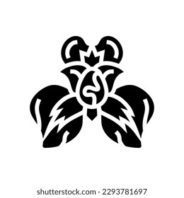 iris flower spring glyph icon vector. iris flower spring sign. isolated symbol illustration