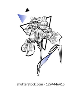 Iris flower  in the style of engraving. Design for  T-shirt  Hand drawn line art  For tattoo - Vector