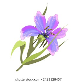 Iris flower stylized closeup vector illustration.