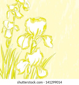 Iris flower stylized vector image on yellow background