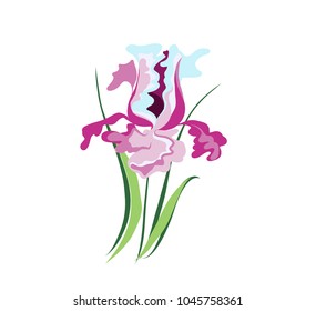 Iris flower vector art illustration