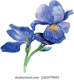 Iris flower vector free design