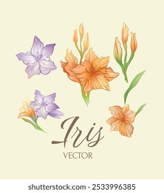 iris flower vector illustation handrawing logotype