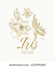 iris flower vector illustation handrawing logotype