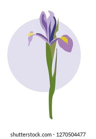 Iris flower vector illustration