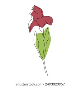 Iris flower, vector illustration line art