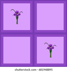 Iris flower vector illustration purple pattern