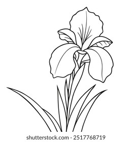 Desenho de linha do vetor da flor da íris. Flor de íris com folhas. Estilo linear simples de ilustração simples preto. Arte floral para conceito móvel, web design. Gráficos vetoriais botânicos.