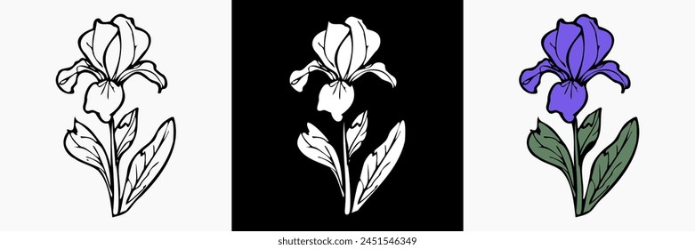 Vector de flores de iris sobre fondo aislado blanco. hermosa ilustración botánica. Silueta floral decorativa.