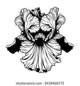 Iris flower vector silhouette, tattoo style, black contour