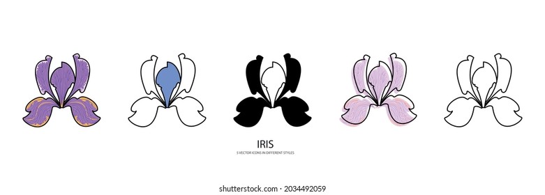 iris flower vector type icon
