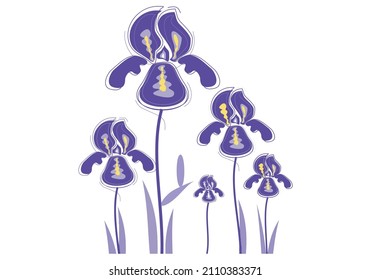 Iris Flower - in a violet beautiful vector in the stylized art