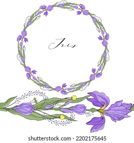 Iris flower wreath isolated on white background. Hand drawn floral elements background. For cards, invitations, save the date cards