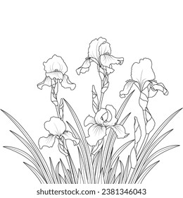 Iris flor ilustración botánica vectorial. contorno de iris con floración de arte de línea. Coloreando la página del libro.
