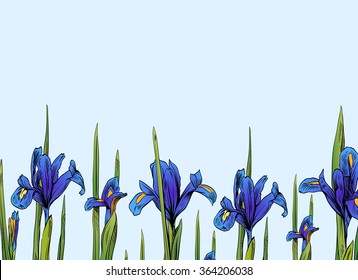 Iris flowers card backgrounds. Hand drawn vector illustration