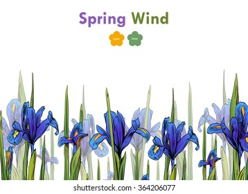 Iris flowers card backgrounds. Hand drawn vector illustration