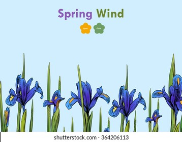 Iris flowers card backgrounds. Hand drawn vector illustration