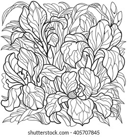 Iris flowers. Coloring page for adult and older children