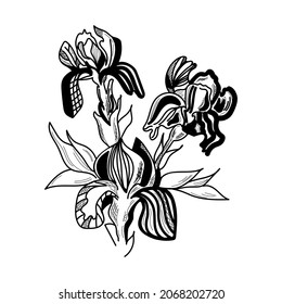 Iris flowers are drawn graphically. Vector illustration for postcard, poster, interior, textile.