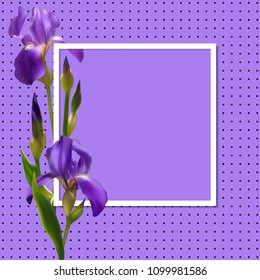 Iris. Flowers. Floral background. Border. Buds. Blue. Petals. Flower pattern. Square frame. Green leaves. The stems.