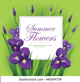 Iris flowers frame on green background. Vector illustration.