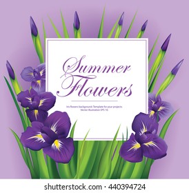 Iris flowers frame on violet background. Vector illustration.