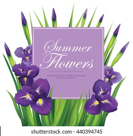 Iris flowers frame on white background. Vector illustration.