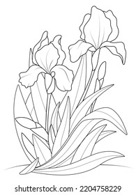 Iris flowers growing in a bush. Coloring book, vector.