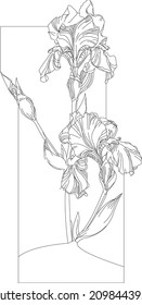 iris flowers on stems lamp