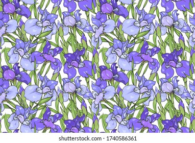 Iris flowers, purple and blue irises, seamless vector illustration