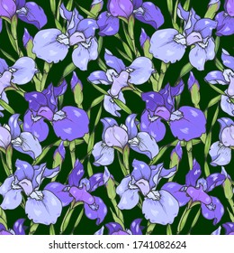 Iris flowers, purple and blue irises, seamless vector illustration