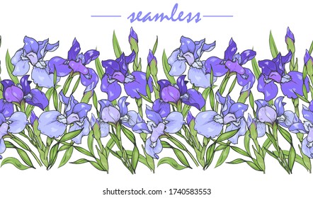 Iris flowers, purple and blue iris ornament, seamless vector illustration