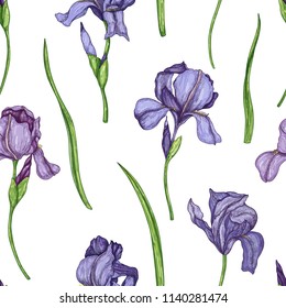 Iris flowers seamless pattern. Vector hand drawn background in vintage style.