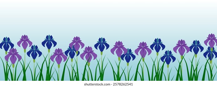 It's iris flowers and sky frame.