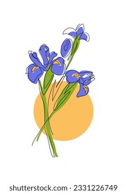 Iris flowers vector color illustration. One continuous line art drawing of iris flowers.