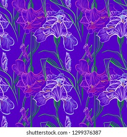 Iris flowers vector seamless pattern flowered background of botany texture