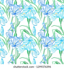 Iris flowers vector seamless pattern flowered background of botany texture