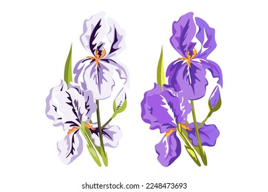 Iris flowers.Purple and white irises isolated on a white background.Vector illustration .