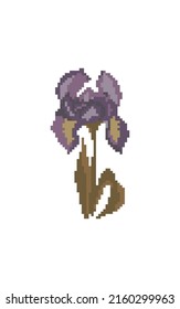 iris germanica pixel art. retro style flower wallpaper. vintage design purple petal and green leaf vector. elegant flora illustration. blossom icon by pix.