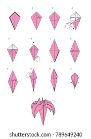 A Iris how to make origami