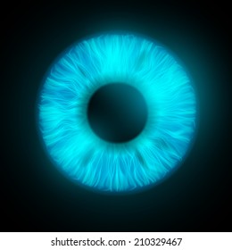 iris of the human eye