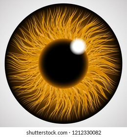 Iris of the human eye. Isolated on light background.