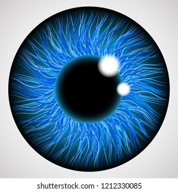 Iris of the human eye. Isolated on light background.