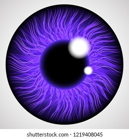 Iris of the human eye. Isolated on light background.