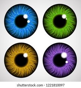 Iris of the human eye. Isolated on light background. Various colored eye lenses. Realistic vector illustration.