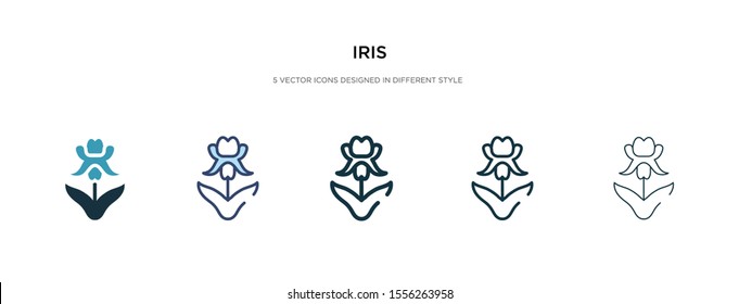 iris icon in different style vector illustration. two colored and black iris vector icons designed in filled, outline, line and stroke style can be used for web, mobile, ui